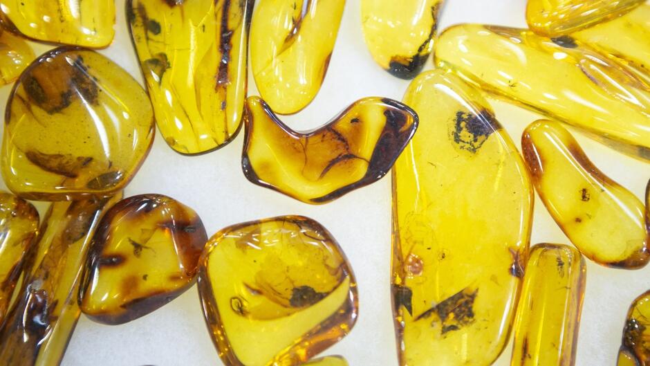 Kilka bryłek bursztynu