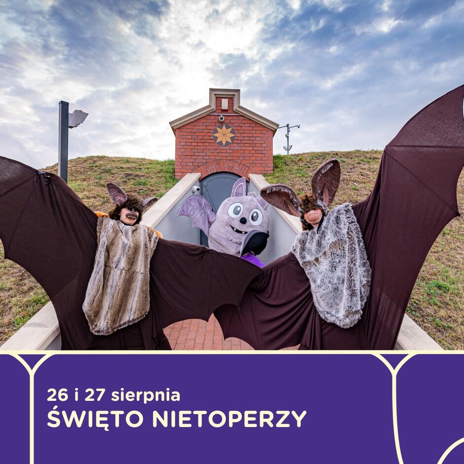 Plakat informujący o Międzynarodowe Nocy Nietoperzy 26 i 27 sierpnia