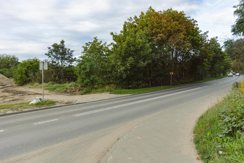 na zdjęciu fragment asfaltowej jezdni, po obu stronach rosną zielone drzewa