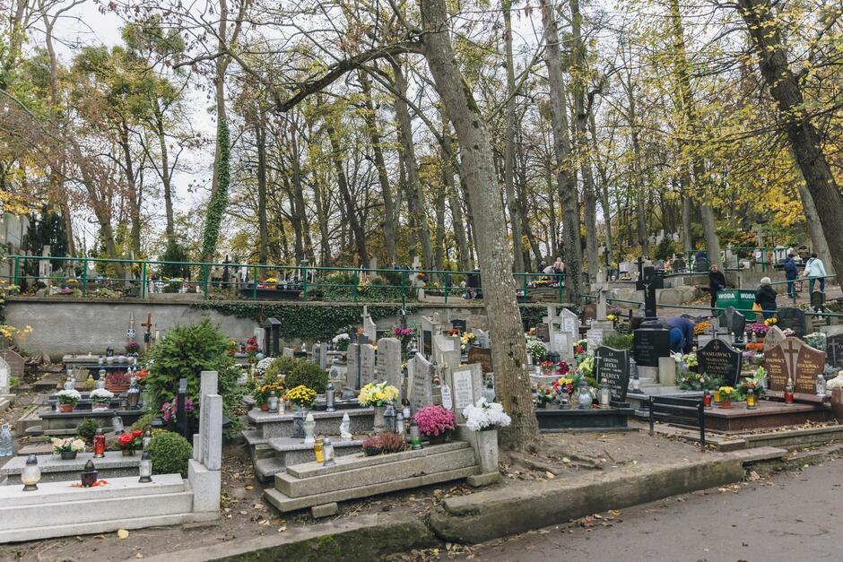 na zdjęciu fragment cmentarza, widać kilkadziesiąt grobów ustawionych blisko siebie, na nich ustawione są kwiaty i znicze