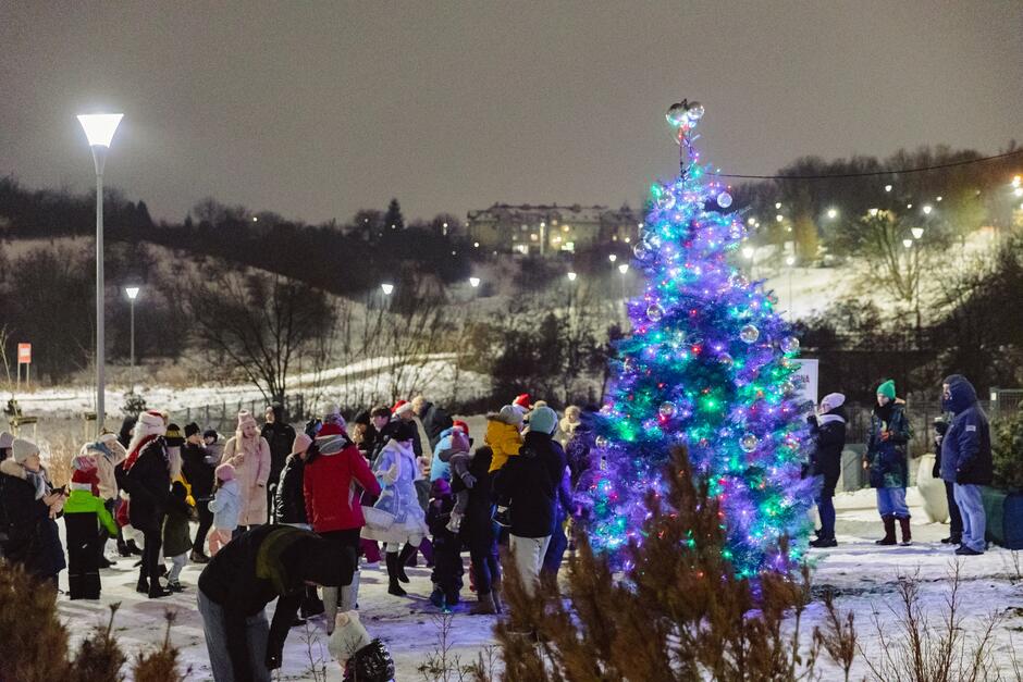 na zdjęciu oświetlona na niebiesko choinka, wokół niej stoi kilkanaście osób w zimowych ubraniach, widać śnieg, a w tle blok mieszkalny