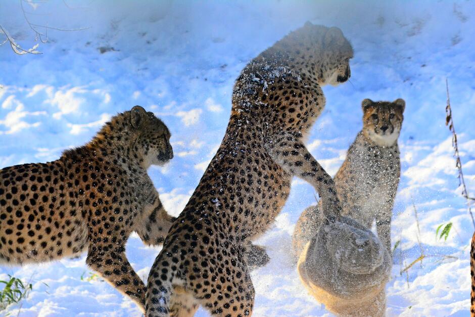 408773524_757676053056719_4667882963940630989_n