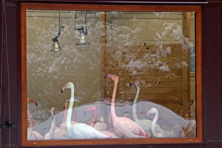 407783672_757689289722062_9201490517668719473_n