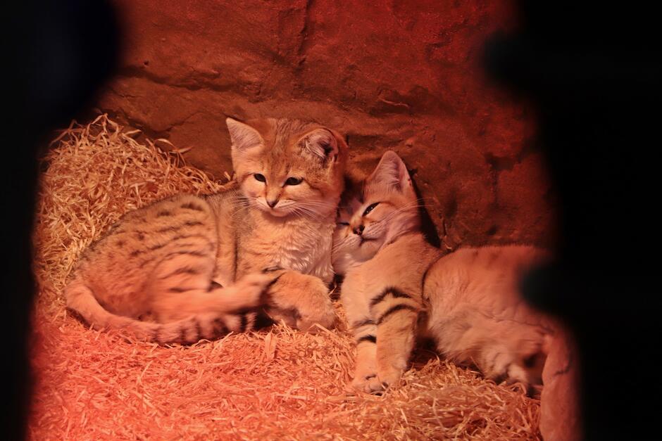 412697124_767396098751381_748758312593254897_n