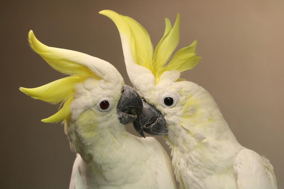 412824564_767396725417985_6963162100511061432_n