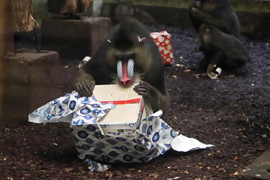 412847726_766050822219242_2522030489324056109_n