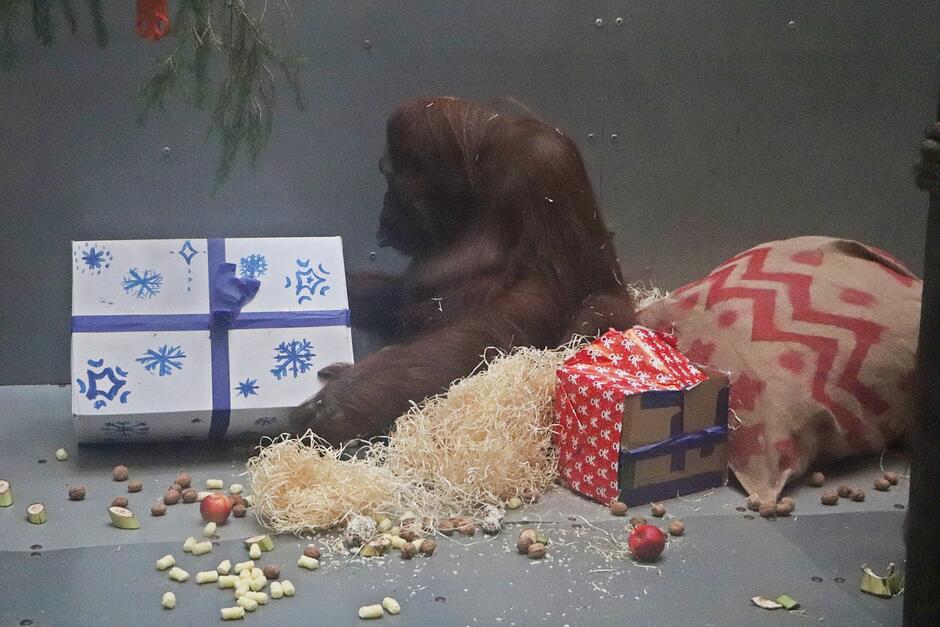 412883379_767456958745295_6994078195127956789_n