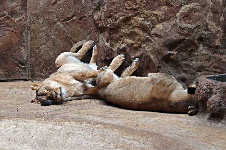 410968341_765559732268351_8707878493925818815_n