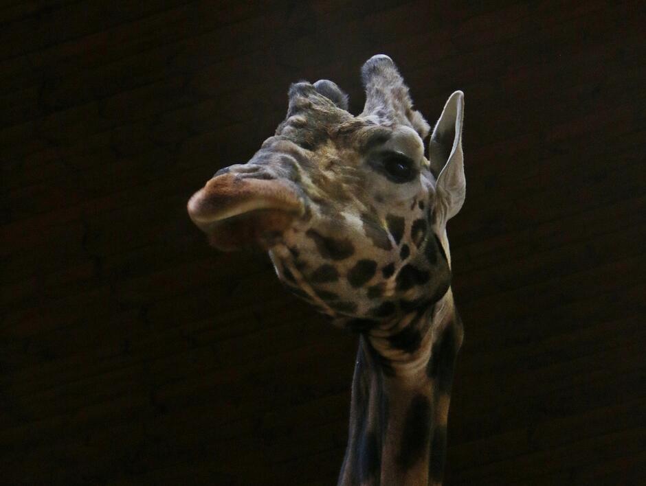 413811047_767524228738568_1601146815419570624_n