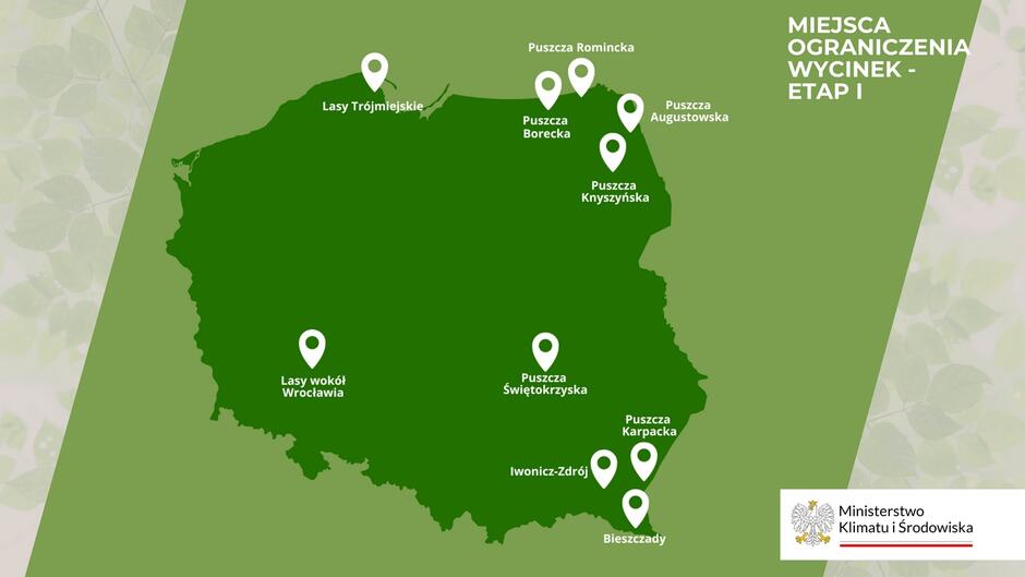 Zielona mapa Polski z zaznaczonymi na biało miejscami, gdzie zostaną ograniczone wycinki drzew