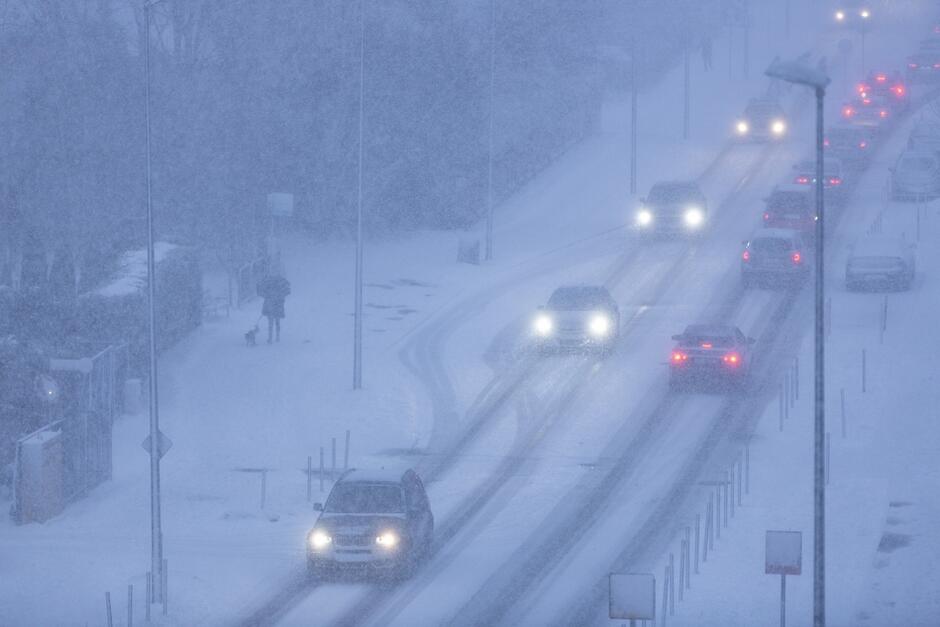 zdjęcie wykonano po zmroku, widać jezdnię zaśnieżoną, jadą nią samochody w obu kierunkach z włączonymi światłami, pada śnieg, po chodniku idzie mężczyzna z psem