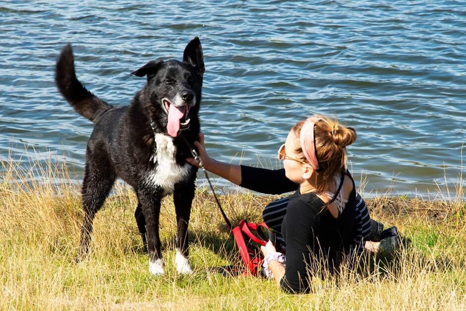 Czarny pies z klapniętym uszkiem stoi przy brzegu jeziora. Obok niego leży kobieta, która drapie psa po klatce piersiowej