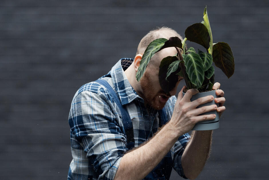 mężczyzna chowa twarz za trzymanym w dłoniach kwiatem w doniczce