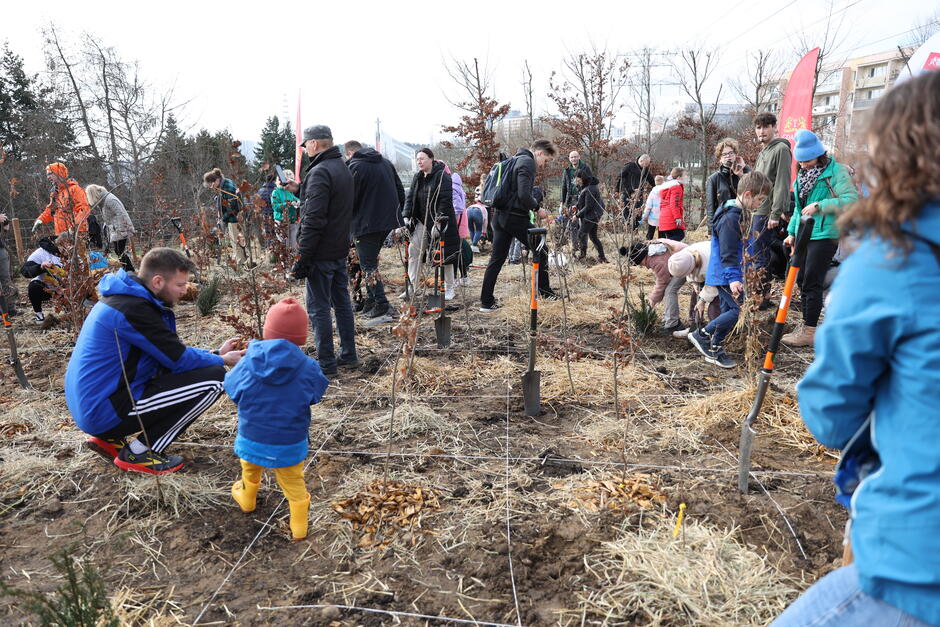 na zdjęciu kilkanaście osób, dorośli i dzieci, sadzą drzewa