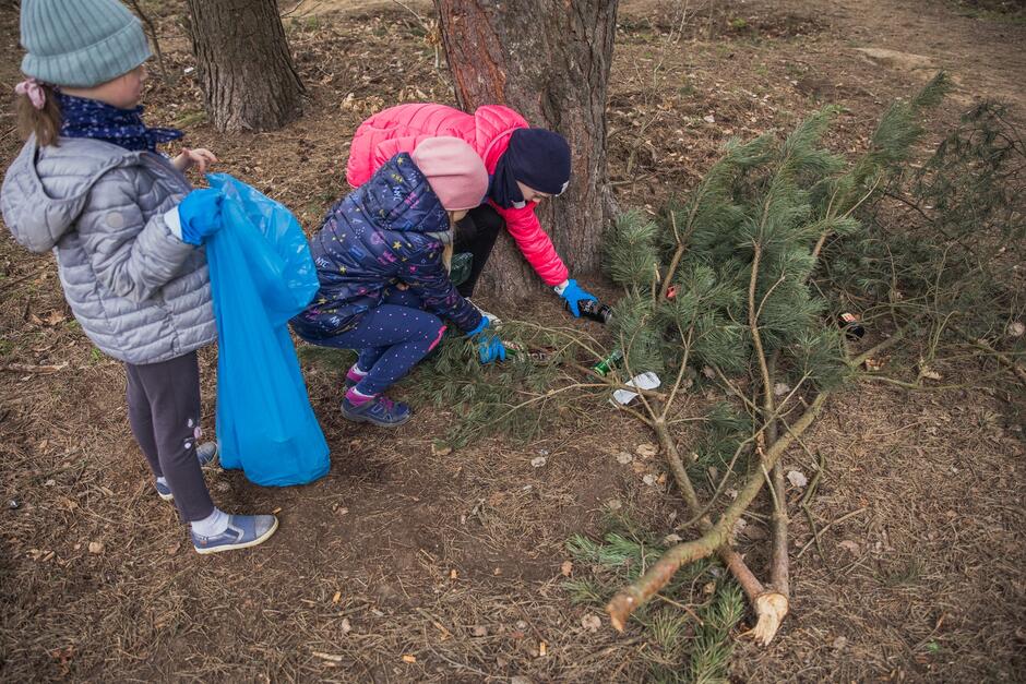 na zdjęciu dwoje dzieci kuca i zbiera śmieci z runa leśnego, obok nich stoi dziewczynka i trzyma niebieski plastikowy worek na odpady