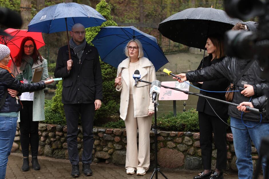na zdjęciu pięć dorosłych osób, stoi przed mikrofonami dziennikarskimi, pada deszcz, więc wszyscy trzymają w rękach parasole