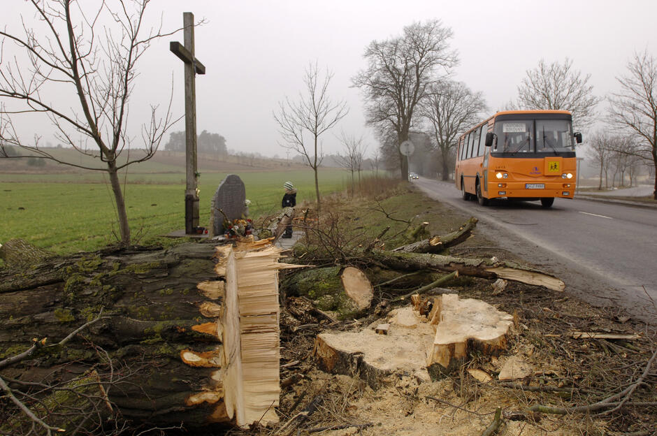 Na pierwszym planie leży ścięte drzewo. Dalej widać chłopca stojącego przy tablicy upamiętniającej ofiary katastrofy autobusu, który rozbił się na tym drzewie. Obok przejeżdża autobus szkolny marki autosan.