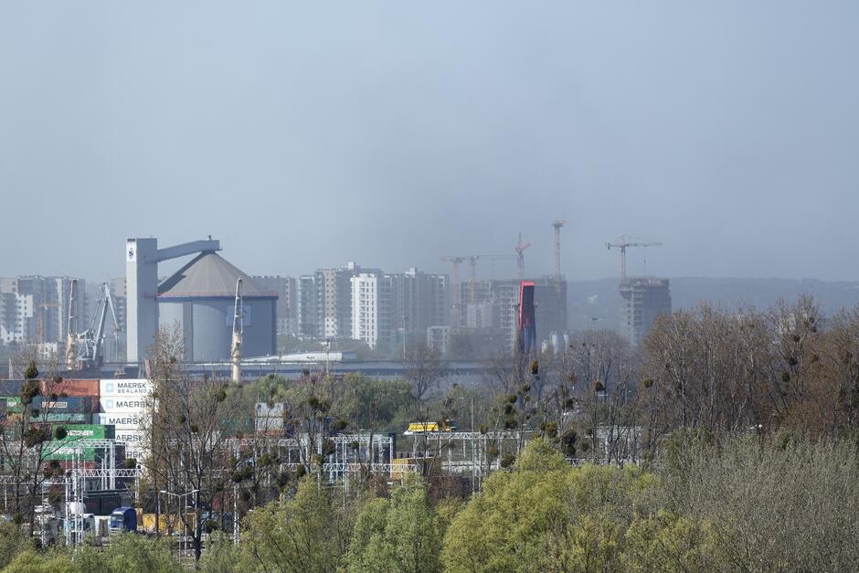 Na pierwszym planie drzewa, dalej obiekty przemysłowe, w tle bloki mieszkalne. Nad wszystkim unosi się szara mgła, pył węglowy z portu.