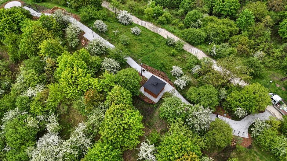 zdjęcie z drona, widać jasną ścieżkę spacerową, altanę drewnianą i mnóstwo zielonych drzew