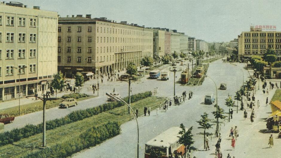 Kolorowy widok al. Grunwaldzkiej we Wrzeszczu, szeroka ulica, której środkiem biegnie torowisko tramwajowe, wzdłuż którego widoczne są żywopłoty i drzewa