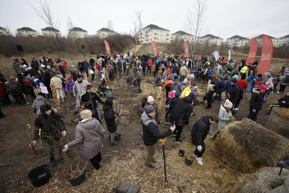 Sadzenie pierwszego gdańskiego mikrolasu