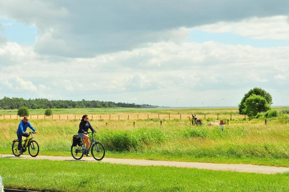 Zdjęcie przedstawia dwoje rowerzystów jadących wzdłuż asfaltowej ścieżki rowerowej przez malowniczy krajobraz wiejski, z zielonymi łąkami, pastwiskami i widocznymi w oddali końmi. Na horyzoncie widać las i ciemne chmury, które kontrastują z jasnym niebem, tworząc spokojną i naturalną scenerię.