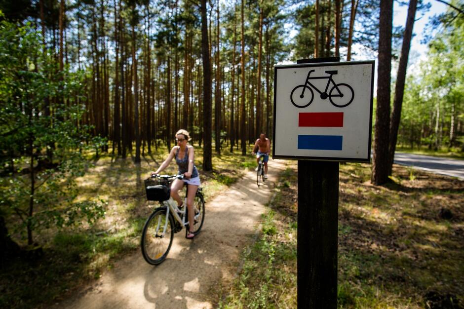Zdjęcie przedstawia dwoje rowerzystów jadących leśną ścieżką, obok której znajduje się znak wskazujący trasę rowerową oznaczoną czerwonym i niebieskim kolorem. Tłem jest gęsty las sosnowy, przez który przebija się światło słoneczne, tworząc przyjemną, naturalną atmosferę.