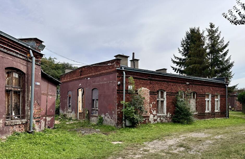 Zdjęcie przedstawia dwa mocno zniszczone, ceglaste budynki o przemysłowym charakterze, które wyglądają na opuszczone. Oba budynki są parterowe, wykonane z czerwonej cegły, jednak ich elewacje noszą ślady zaniedbania i degradacji. Tynk na ścianach jest wyraźnie odpadający, a wiele miejsc jest przesiąkniętych wilgocią. Część cegieł jest odsłonięta spod tynku, szczególnie na budynku po lewej stronie. Okna są w złym stanie — niektóre z nich są zabite deskami lub pokryte kratami, jak w budynku po lewej. W oknach budynku po prawej stronie brakuje szyb, a wejścia wyglądają na prowizorycznie zamknięte lub uszkodzone. Wokół budynków rośnie dzika roślinność, krzewy zaczynają porastać fasady. Trawa na ziemi jest nieco zarośnięta, a otoczenie wygląda na zaniedbane. Na dachu jednego z budynków widoczne są dwa kominy, a w tle po prawej stronie stoją wysokie drzewa, co nadaje okolicy dzikiego, opuszczonego charakteru.