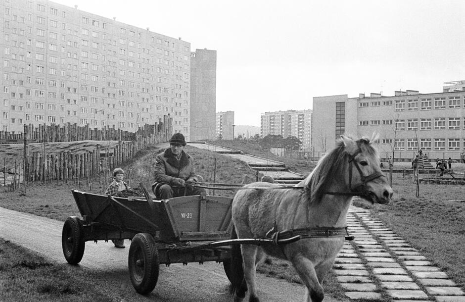 Czarnobiałe zdjęcie archiwalne z 1977 roku. Mężczyzna z dzieckiem jadą wozem drabiniastym ciągniętym przez konie przez osiedle mieszkaniowe z wielkiej płyty.