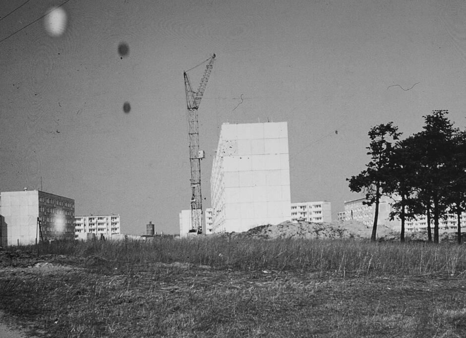 Archiwalne zdjęcie czarnobiałe przedstawiające budowę osiedla mieszkaniowego z wielkiej płyty. Na budowanym osiedlu rosnie sosnowy lasek.