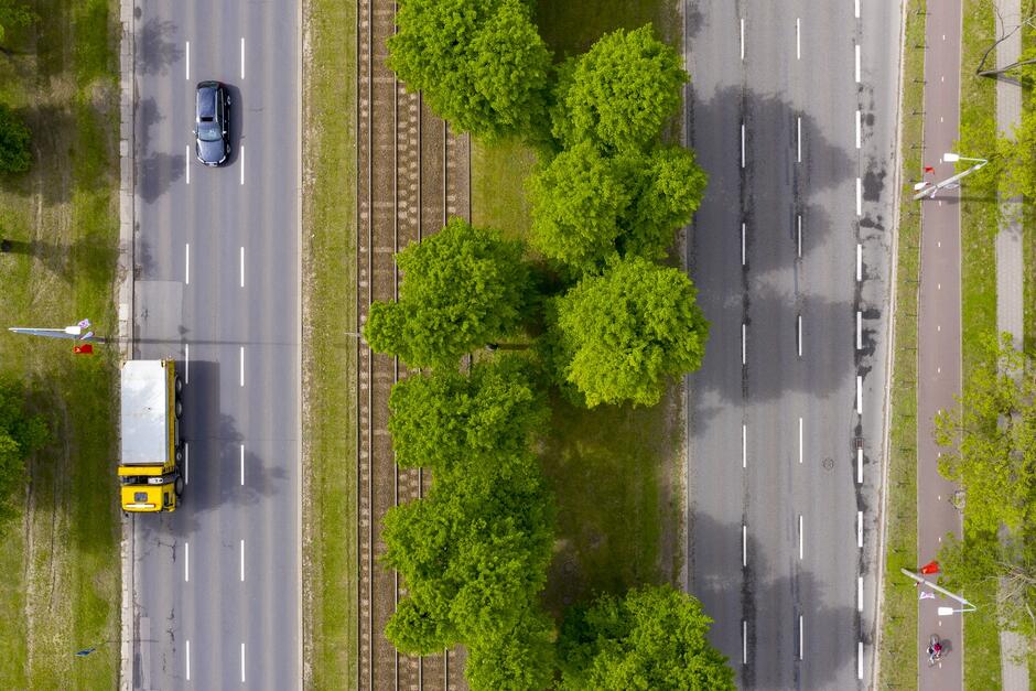 Zdjęcie wielkiej alei lipowej zrobione pionowo z powietrza, przy pomocy drona