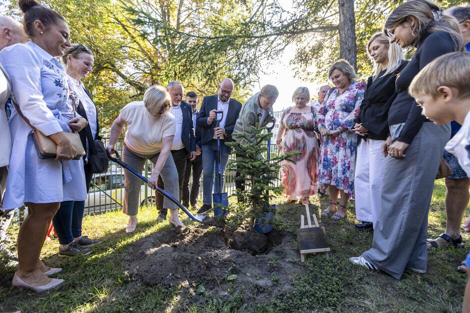 na zdjęciu kilkanaście osób stoi w półokręgu, otaczają sadzonkę drzewka iglastego, jedna z kobiet sypie łopatą ziemię pod to drzewko