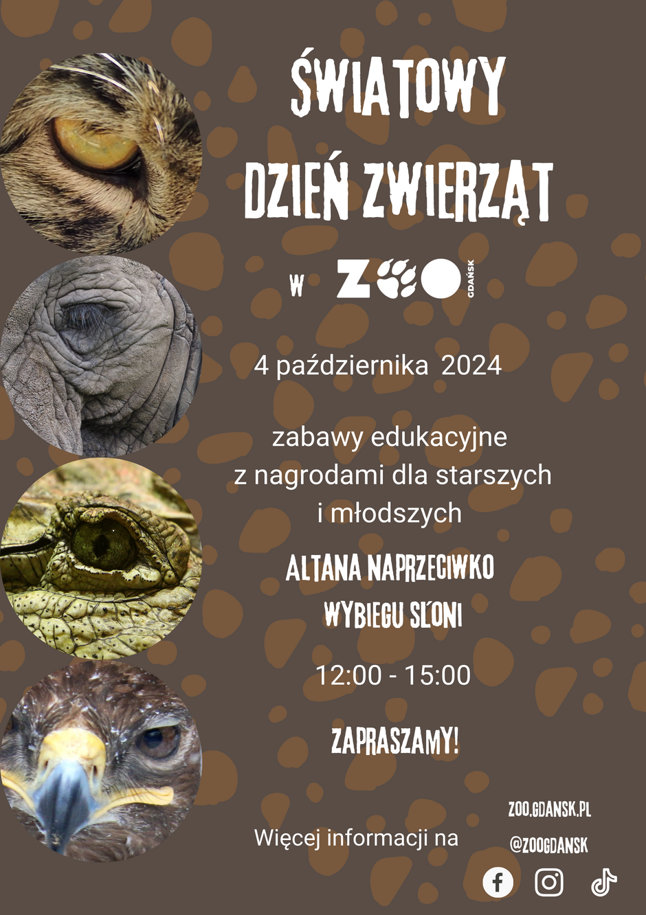 Na plakacie znajduje się informacja o wydarzeniu z okazji Światowego Dnia Zwierząt, które odbędzie się w ZOO Gdańsk dnia 4 października 2024 roku. Wydarzenie obejmuje zabawy edukacyjne z nagrodami dla starszych i młodszych uczestników. Zabawy będą odbywać się w altanie naprzeciwko wybiegu słoni w godzinach 12:00 - 15:00. Plakat ma brązowe tło z motywem przypominającym plamy zwierzęce. Po lewej stronie znajdują się okrągłe zdjęcia fragmentów zwierząt: oko tygrysa, oko słonia, oko krokodyla oraz oko ptaka drapieżnego (prawdopodobnie orła). Na dole plakatu znajdują się odnośniki do stron internetowych oraz mediów społecznościowych ZOO Gdańsk, w tym do Facebooka, Instagrama oraz TikToka. Tekst na plakacie zachęca do udziału, kończąc się słowem Zapraszamy!