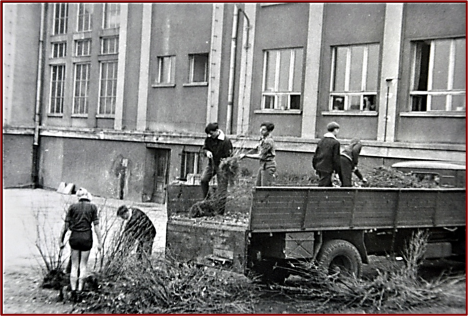 Zdjęcie przedstawia grupę osób pracujących na podwórzu, prawdopodobnie przy sprzątaniu lub wywozie gałęzi i roślinności. Na pierwszym planie widzimy duży samochód ciężarowy, na którym kilku młodych ludzi ładuje lub zrzuca gałęzie. Niektórzy stoją na platformie ciężarówki, inni pracują na ziemi, zbierając rośliny. Prace odbywają się w pobliżu budynku o prostych, modernistycznych kształtach, z dużymi oknami, co może sugerować, że jest to teren szkolny lub instytucji publicznej.