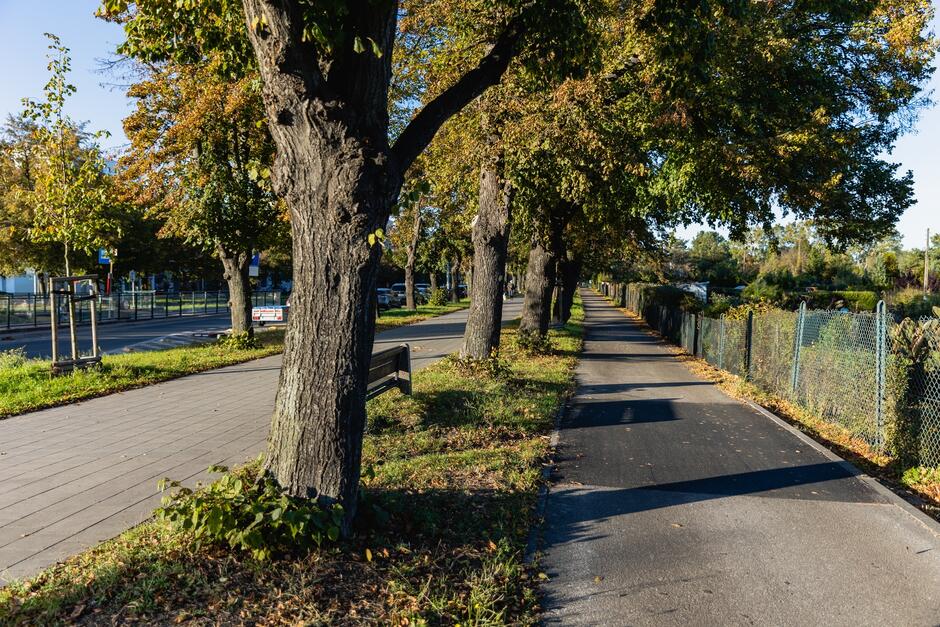 na zdjęciu asfaltowa droga rowerowa, obok niej szpaler zielonych drzew, po lewej widać też fragment szarego chodnika