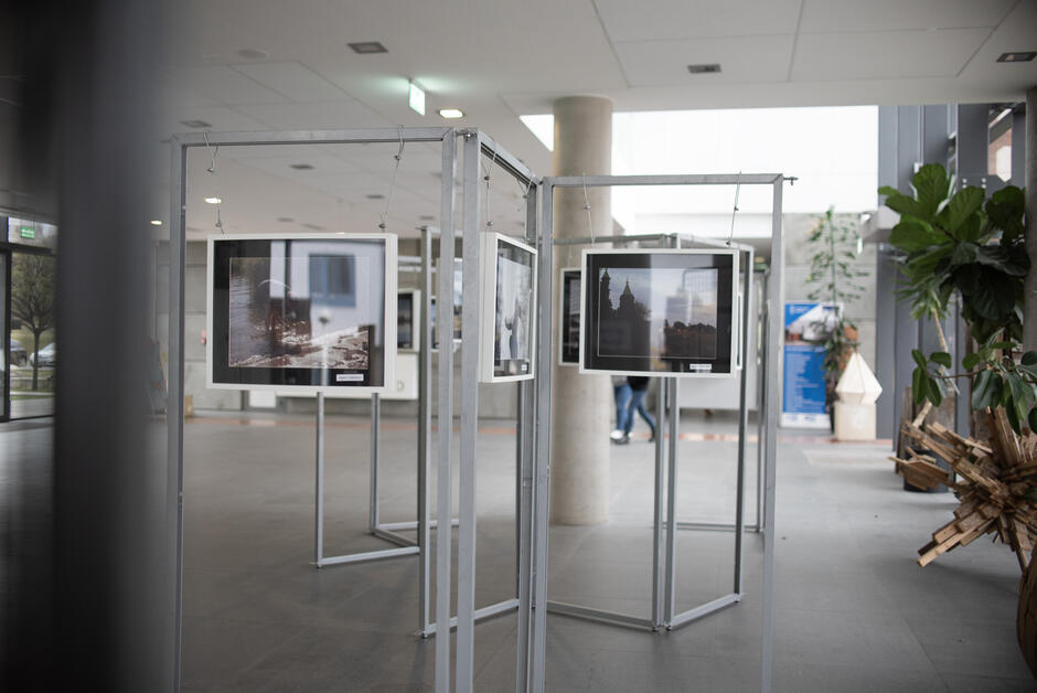 Na zdjęciu znajduje się wystawa fotograficzna w przestronnym, nowoczesnym wnętrzu, z fotografiami zawieszonymi na metalowych stelażach. W tle widać elementy roślinne, dekoracje oraz przeszklone wejście, które wpuszcza naturalne światło