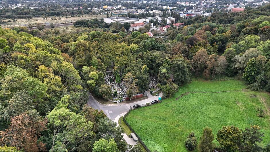 Widok z góry: łąka, fragment drogi i lasek