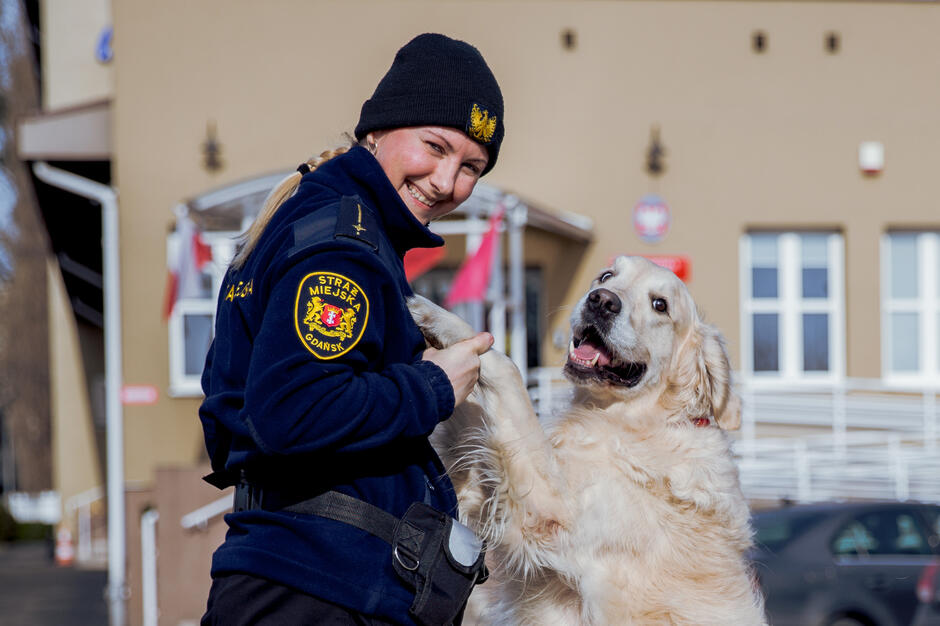 kobieta w mundurze strażniczki miejskiej z dużym kremowym psem rasy labrador, trzyma go za łapę