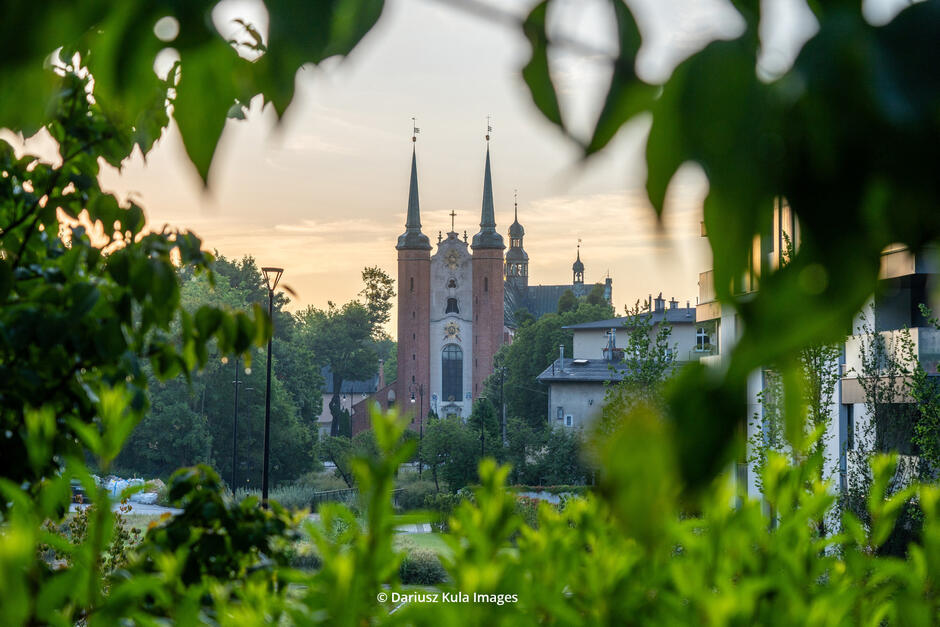 Zdjęcie przedstawia malowniczy widok na zabytkowy kościół z dwiema smukłymi wieżami, otoczony zielenią i nowoczesną zabudową. Fotograf uchwycił tę scenę z perspektywy ukrytej wśród liści, co dodaje kompozycji naturalnej ramy i głębi. W tle widać delikatnie rozświetlone niebo o zachodzie słońca, nadające ciepły, złocisty odcień całej scenerii. Po lewej stronie widać oświetlone latarnie i ścieżkę prowadzącą w stronę kościoła, a po prawej – współczesne budynki, kontrastujące z historycznym charakterem świątyni. Zdjęcie ma spokojny, sielski klimat, podkreślony przez grę światła i cieni oraz bogactwo zieleni.