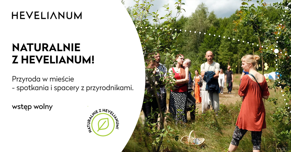 _ grafika _ Naturalnie z Hevelianum!