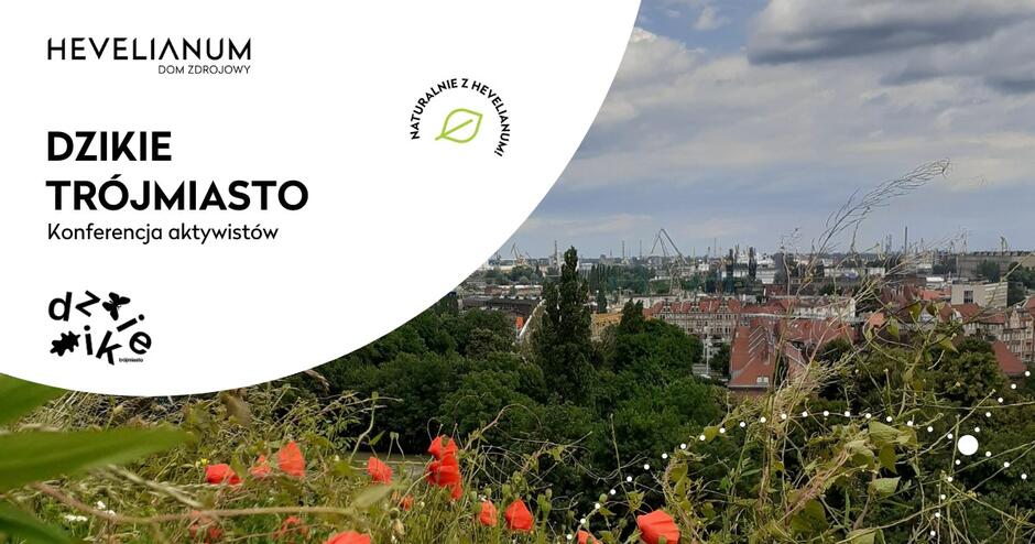 Grafika zapowiadająca konferencję Dzikie Trójmiast ze zdjęciem kwietnej łąki i miasta w tle.