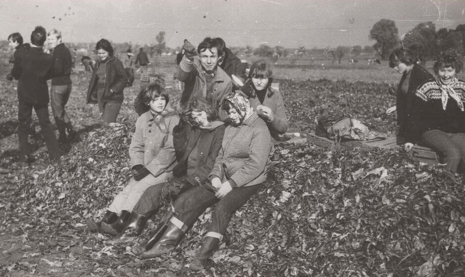 To czarno-białe zdjęcie doskonale oddaje klimat tzw. akcji wykopkowej – popularnej w Polsce Ludowej (PRL), szczególnie od lat 60. do 80. XX wieku. Młodzież – uczniowie szkół średnich, techników czy zawodówek – była kierowana na pola w ramach obowiązkowej pomocy przy zbiorach warzyw, głównie ziemniaków lub buraków cukrowych. Był to element tzw. czynów społecznych, które miały charakter edukacyjno-wychowawczy, ale i czysto praktyczny – szkoły wspierały lokalne PGR-y (Państwowe Gospodarstwa Rolne) lub spółdzielnie rolnicze.