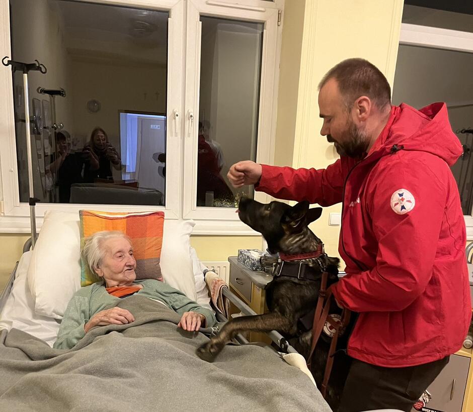 Na zdjęciu pies ratowniczy odwiedza starszą panią w szpitalnym łóżku, przynosząc jej radość i chwilę bliskości. Towarzyszy mu opiekun w czerwonej kurtce z emblematem Grupy Ratownictwa Specjalnego PCK, co podkreśla rolę psa nie tylko w akcjach ratunkowych, ale także w terapii i wsparciu emocjonalnym.