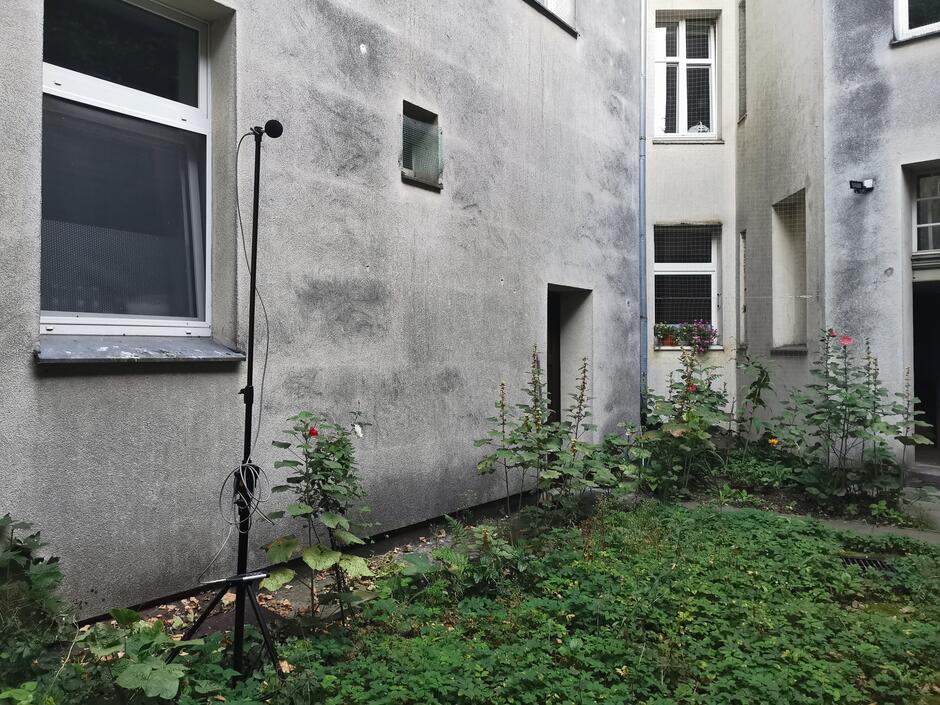 Urządzenie do pomiaru poziomu hałasu - mikrofon na statywie podłączony do miernika akustycznego