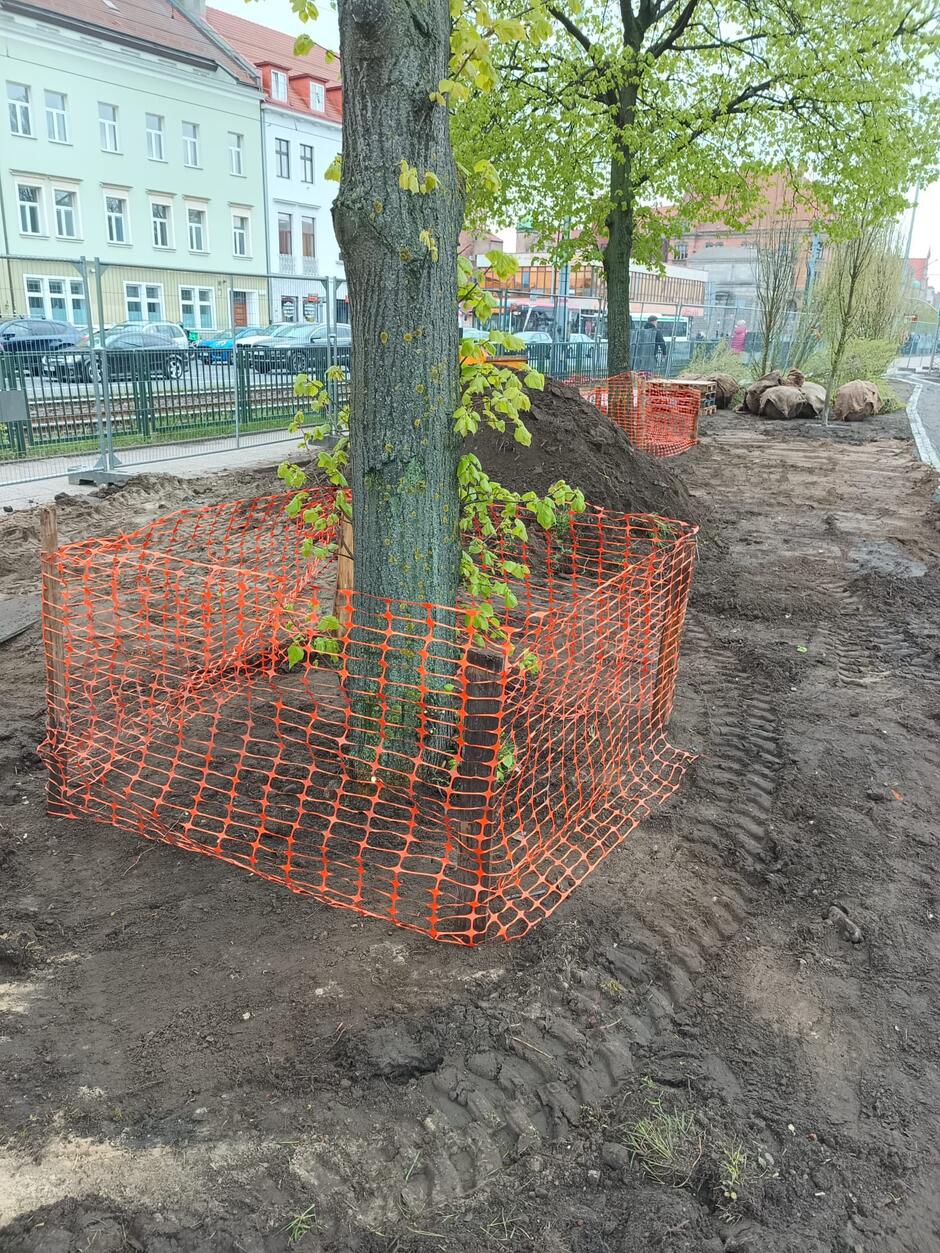 Na zdjęciu widoczne są drzewa zabezpieczone pomarańczową siatką ochronną na terenie budowy, gdzie trwa przygotowywanie gruntu. W tle znajdują się ogrodzenia, zaparkowane samochody oraz zabudowania miejskie.