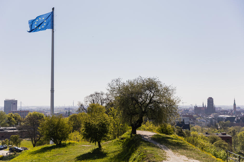  widok miasta ze wzgórza; niebo jest czyste i niebieskie, a miasto widoczne w tle; na pierwszym planie znajduje się wzgór trawny z drzewem po prawej stronie i dróżką prowadzącą do niego; po lewej stronie leci wysoko na słupie flagowym; za spiętrem flagi możemy zobaczyć wysoką wieżę oraz kilka budynków i drapaczy chmur.