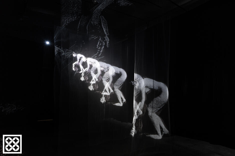 Czarno-biały obraz ruchu – postać w dynamicznej sekwencji skoku – zostaje rozmnożony i rozmyty dzięki projekcji na przezroczystych tkaninach zawieszonych w przestrzeni. Efekt przypomina eksperymenty z początkiem kina i złudzenia optyczne, tworząc sugestywną grę z czasem i ruchem