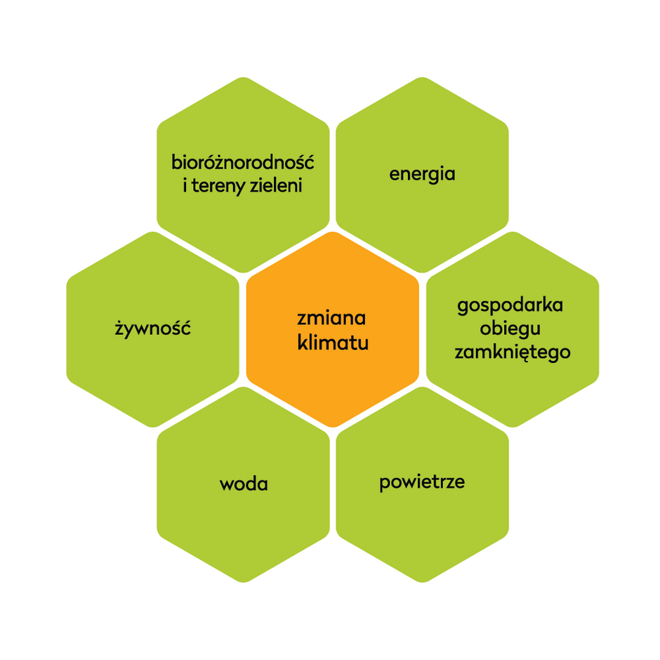 Grafika przedstawia sześciokątny diagram, w którego centrum znajduje się zmiana klimatu , otoczona przez sześć powiązanych obszarów: żywność, bioróżnorodność i tereny zieleni, energia, gospodarka obiegu zamkniętego, powietrze oraz woda. Ilustracja pokazuje, jak różne aspekty środowiskowe i gospodarcze wzajemnie wpływają na zmiany klimatyczne.