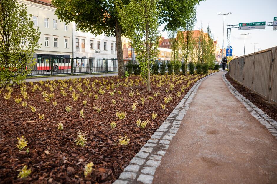na zdjęciu zadbane trawniki, pełne roślin, chodnik