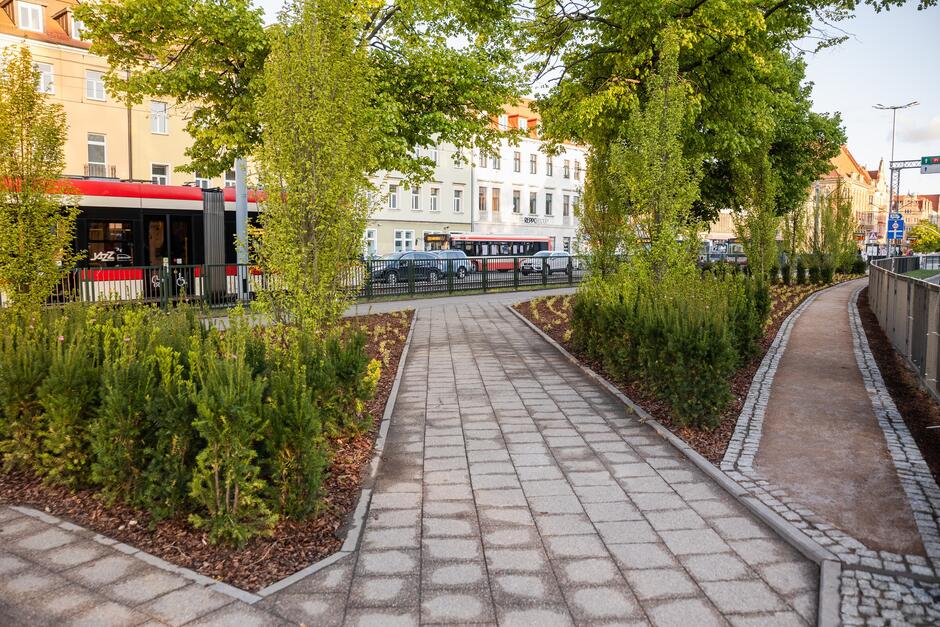 na zdjęciu chodnik otoczony roślinami